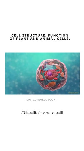 Shubham Thorat | Biotechnology on Instagram: "Plant Cell vs Animal Cell 🌿🧬🐾 (Structure + Function) 🎥: nucleus medical media Youtube. Cells are like tiny factories—but plant and animal cells run slightly different “hardware.” ✅ Common parts (both have): • Cell membrane – controls what enters/exits 🚪 • Nucleus – DNA control center 🧠 • Mitochondria – energy production (ATP) ⚡ • Ribosomes – protein builders 🧱 • ER + Golgi – making, folding & shipping proteins 📦 • Cytoplasm – where reactions 