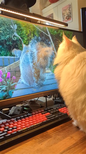 Anyone who understands portal technology, please get in touch. - Sigrid | Travis and Sigrid