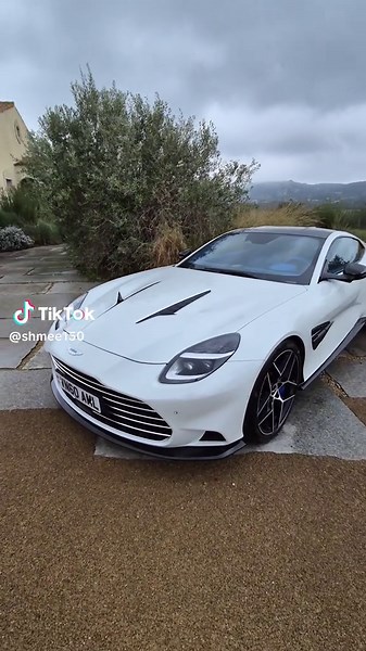 Revving Up the Aston Martin V12 - Start Your Engines!