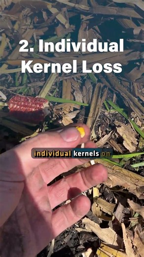 Are You Leaving Bushels in the Field?