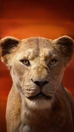 The Reason Why Sarabi Became Queen #shorts #disney