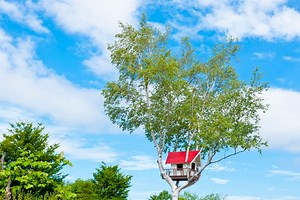 ツリーハウスの作り方……材料選びから組み立ての流れ [アウトドア] All About