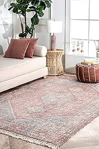 nuLOOM Ingadi Vintage Oriental Area Rug, 5' x 8', Multi