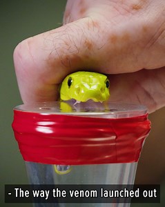 The Man, The Myth, The Legend, Carl Barden! 🐍 | Coyote Peterson