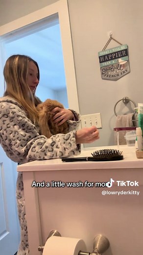 Daily Bathroom Routine for My Paralyzed Cat Ryder