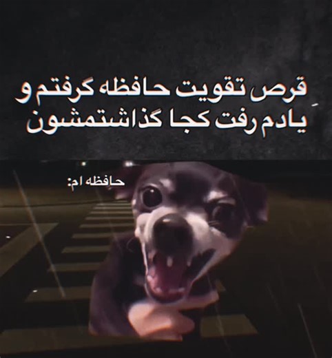 “—𝐑𝐀𝐞𝐞𝐒𓍼ོ—“ on Instagram‎: "😂💔 ‏ ‏ #afghanistan #afghanistan🇦🇫 #afg #afghan #afghangirl #afghanculture #afghanboy #afghanmusic #afghanmusic #afghanzoom #afghanistan🇦🇫❤️❤️❤️✌🏻✌🏻✌🏻 #afghanfashion #afghantiktokofficial🇦🇫 #afghanhound #afghantiktok #afghanistanpics #afghans❤️❤️❤️❤️❤️ #afghanistanmypassion #afgantiktok #afghanhoundsofinstagra #afghanmusicworld #afghanistan_is_mine_5li0n #afghanstarofficia #explore #explorepage #fyp #fypシ"‎