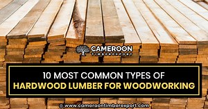 10 Most Common Types of Hardwood Lumber For Woodworking