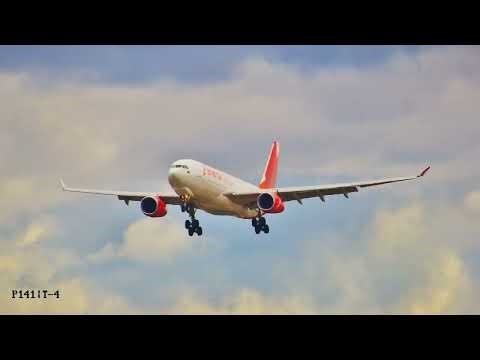 Avianca cargo N336QT