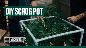 How to Build a Self Contained SCROG Pot for Bigger Yields | Homegrown Garden with Kyle Kushman