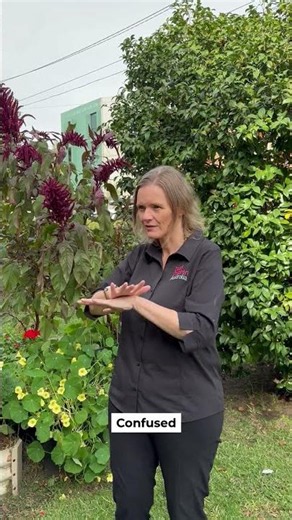 Learn Auslan with DCA | Confused