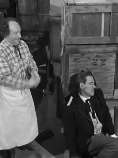 larry and shemp the three stooges #thethreestooges #comedy #foryou