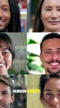 Honeybees Recognize Human Faces? | The Shocking Truth About Bee Intelligence!