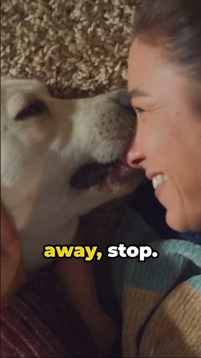 Surprising Tips for the Perfect Dog Belly Rub