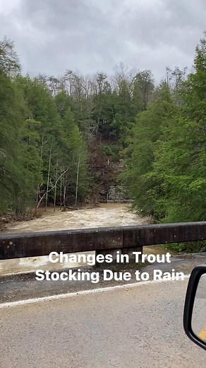 30K views · 306 reactions | Due to high flows the trout stocking tomorrow on Cane Creek (FCF State Park) will be postponed until next Monday, March 6th. All other stockings for tomorrow (Pine Creek, Dekalb Co and North Chickamauga Creek, Hamilton Co) will go ahead as scheduled. | Tennessee Wildlife Resources Agency | Facebook