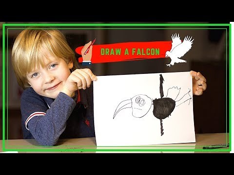HOW TO DRAW A PEREGRINE FALCON EASY | by a five year old