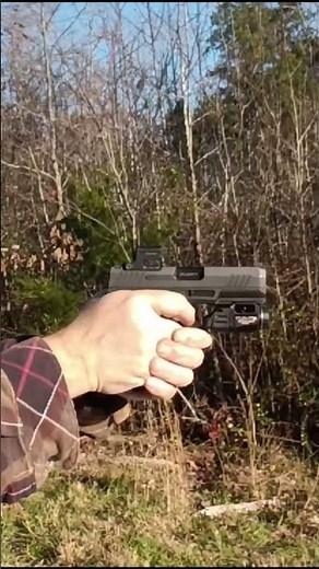 Taurus GX4 Carry/Vector Optics Frenzy-S