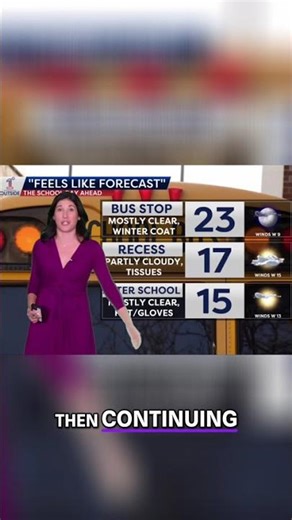 DAMAGING WIND GUSTS 40-50 MPH & BITING WIND CHILL