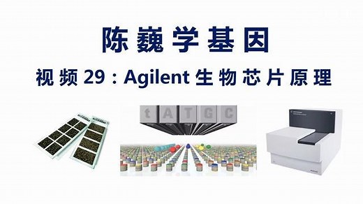【陈巍学基因】视频29：Agilent生物芯片原理