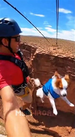 Dog's Harness BROKE On Zip Line... I Caught Him Mid-Air 😰❤️