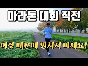 대회 전 컨디션을 무너뜨리는 진짜 원인