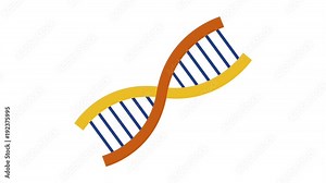 Human DNA structure in formation HD animation with colorful scenes Stock Video