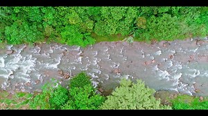 104K views · 1.4K reactions | Los ecosistemas de la cuenca del río #Casacay son nuestro mayor tesoro, por los que establecer un sistema provincial de área de conservación merece un esfuerzo conjunto y para ello contamos con el apoyo de Naturaleza y Cultura Internacional Ecuador y Andes Amazon Fund. Juntos por #ElOro. #ClementeBravo #PrefecturaDeElOro #GestiónYResultados | Clemente Bravo | Facebook