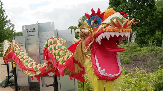 Missouri Botanical Garden hosts Chinese cultural festival
