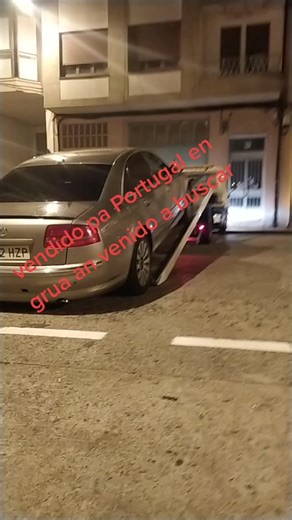 Videos de DAVID🇪🇸MONTOYA (@davidmontoyajimenez800) con “sonido original - duquecalo”