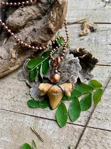 Shark Tooth Pendant, Fossil Shark Tooth Pendant ,copper Pendant,stone Pendant,sharktooth Jewelry - Etsy