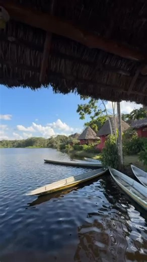 𝐁𝐞𝐚𝐮𝐭𝐢𝐟𝐮𝐥 𝐫𝐞𝐟𝐥𝐞𝐜𝐭𝐢𝐨𝐧𝐬 𝐢𝐧 𝐭𝐡𝐞 𝐥𝐚𝐠𝐨𝐨𝐧🌞 🌊 A quiet moment, a gentle breeze, and the feeling that everything is exactly where it should be 💛 This is how peace looks in the Ecuadorian Amazon. 🌿 #NapoWildlifeCenter #sustainabletourism #añangulagoon | Napo Wildlife Center