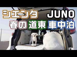 春の道東車中泊【シエンタ】犬を連れて春の開陽台と野付半島へ