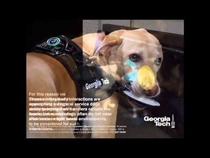 Going to the Dogs: Towards an Interactive Touchscreen Interface for Working Dogs