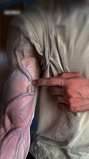 Get Veiny Arms FAST with This ONE Simple Trick