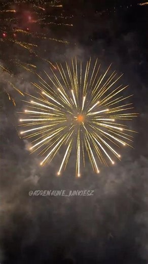 Beautiful display shell 🔥 #fireworks #vuurwerk #pyro
