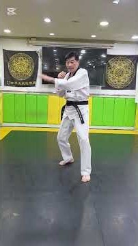 쇼츠393편:건강!!! 세계에서하나뿐인실전문무빈한글태권도 한글(셔)글자의수기법 2 , 4 / 2 , 4 의수기동작 왼발앞에두고 전진, 후진 방어, 공격복습