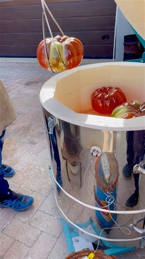 392K views · 760 reactions | What do you love most about unique...