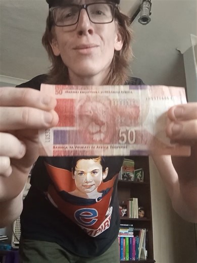 The Joy of Freshly Ironed Red Lions in South Africa