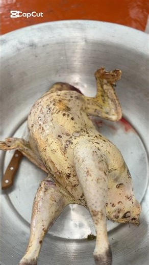 How to Prepare a Homemade Turkey 🦃 Tender & Natural Village Meat