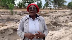SHASHE VDC LEADS FIGHT AGAINST ILLEGAL SAND MINING The Shashe Village Development Committee (VDC) has taken a stand against ongoing illegal sand mining activities in their area, raising concerns over both environmental damage and public safety. VDC Chairperson, Ms. Bahentse Rena, says the situation has become alarming, with large pits left exposed, posing risks to residents, livestock, and the natural landscape. She has called on relevant authorities to urgently intervene and enforce the law, ad