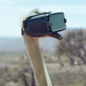 Can an ostrich fly? Samsung's new Gear VR set has the answer (video)