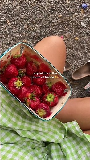 A week in provence: my french life as an expat