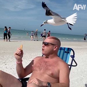 4.5M views · 33K reactions | If summer was a person  | America's Funniest Home Videos | Facebook