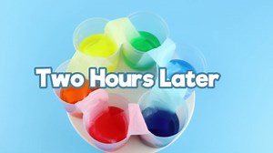 Color Science Test Tubes, Droppers for Kids, Plastic Test Tubes with Caps, Lab Tubes Science Experiments for Kids Age 4 5 6 7 8, Science Supplies Test Tube Holder for Little Scientist