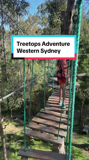 Treetop Adventure Experience at Western City Parklands