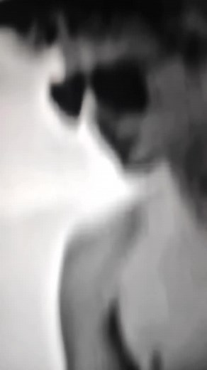 Videos de Orror# (@mrfrogedit16273) con “”