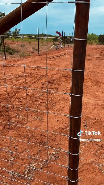 She ain’t going nowhere — and trust me, there’s a whole lot more than cattle eyeing this fence.😏 #fence #construction