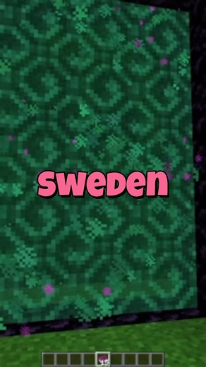 Each Minecraft Dimension represents a Country 👌😉