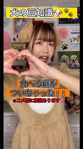 My dog eats poop. Is it tasty? #tiktok #shorts