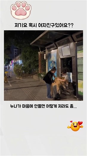 리트리버식 헌팅 방법.. #틱톡성장챌린지 #리트리버 #강아지 #댕댕이 #골든리트리버