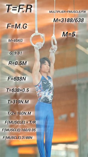 Amir- gymnastics coach on Instagram: "#Biomechanics #GymnasticsScience #IronCross #Azaryan #HumanPerformance #SportsScience #StrengthTraining #IsometricStrength #ExplosiveStrength #RelativeStrength #Kinesiology #BodyMechanics #GymnastLife #FunctionalTraining #Torque #MuscleForce #SportsBiomechanics #AthletePerformance @team.tokushukai @kaduya_t10"